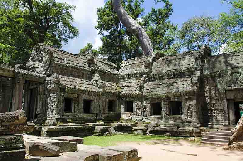 73 - Camboya - Angkor - templo de Ta Prohm
